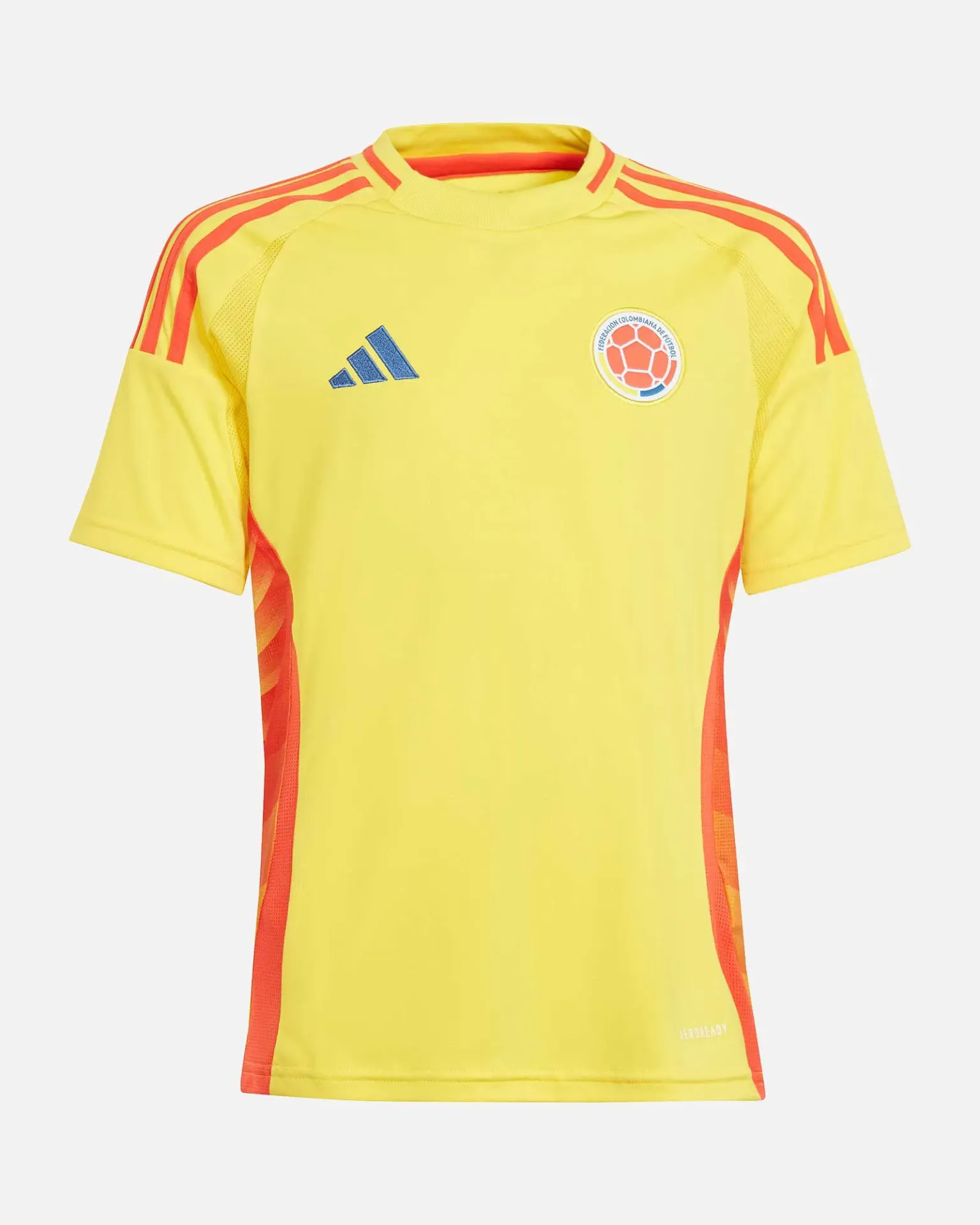 Camiseta Copa America 2024 (Hombre L)
